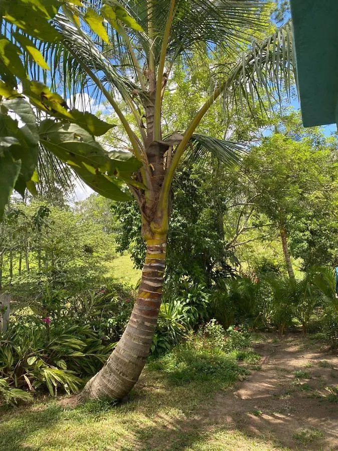 Villa Haus unter Palmen Jarabacoa Ferienhaus